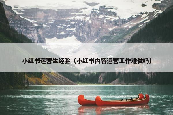 小红书运营生经验（小红书内容运营工作难做吗）