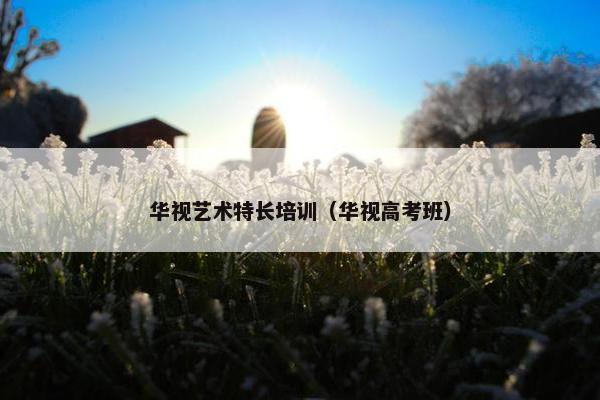 华视艺术特长培训（华视高考班）
