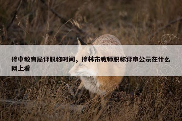 榆中教育局评职称时间，榆林市教师职称评审公示在什么网上看
