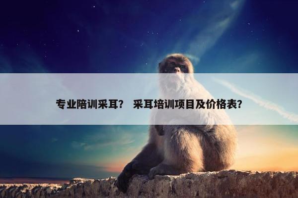 专业陪训采耳？ 采耳培训项目及价格表？