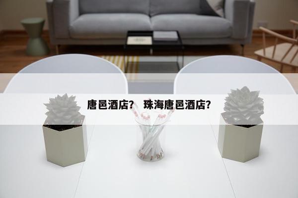 唐邑酒店？ 珠海唐邑酒店？