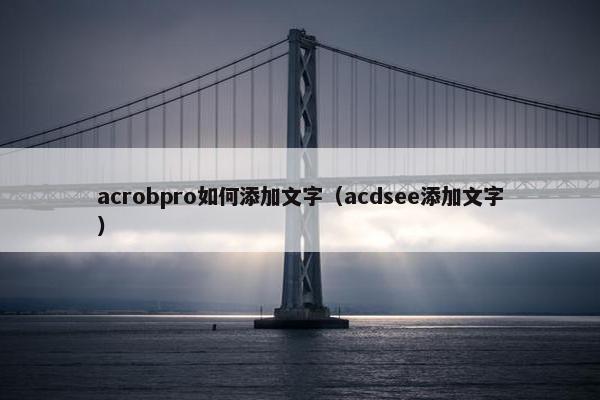 acrobpro如何添加文字（acdsee添加文字）