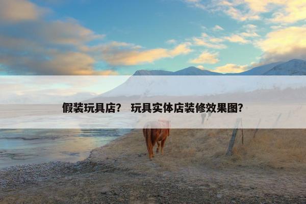假装玩具店？ 玩具实体店装修效果图？