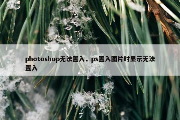 photoshop无法置入，ps置入图片时显示无法置入