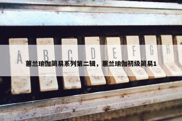 蕙兰瑜伽简易系列第二辑，蕙兰瑜伽初级简易1