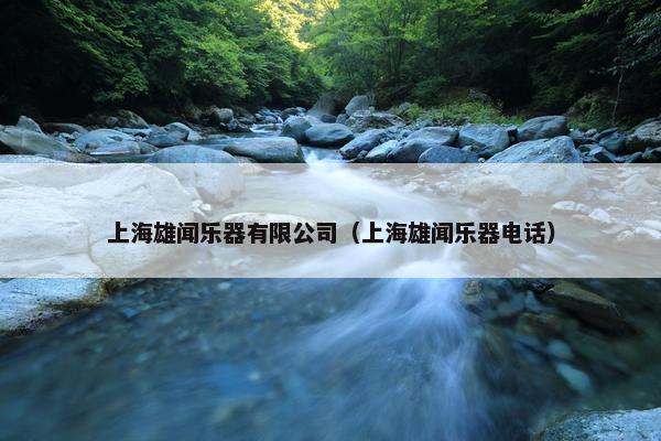 上海雄闻乐器有限公司（上海雄闻乐器电话）