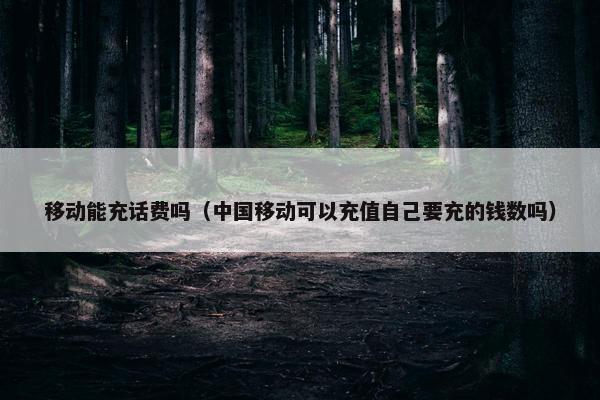 移动能充话费吗（中国移动可以充值自己要充的钱数吗）