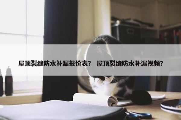 屋顶裂缝防水补漏报价表？ 屋顶裂缝防水补漏视频？