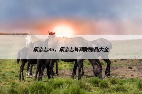 桌游志35，桌游志每期附赠品大全
