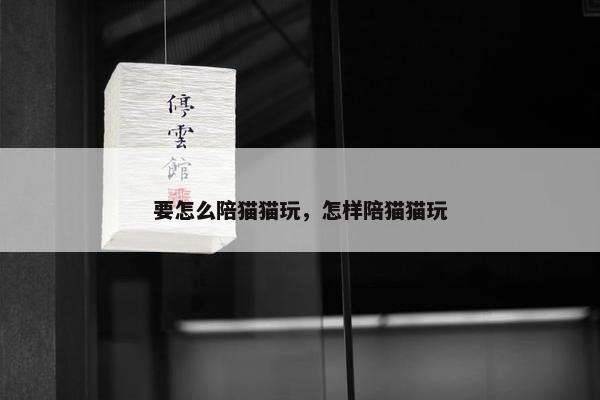 要怎么陪猫猫玩，怎样陪猫猫玩
