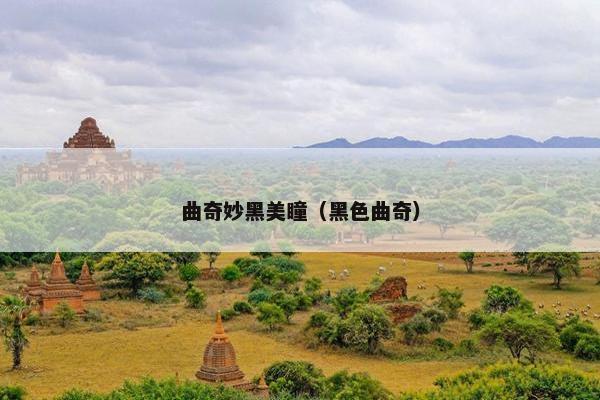 曲奇妙黑美瞳（黑色曲奇）