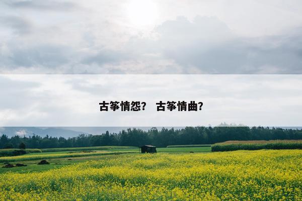 古筝情怨？ 古筝情曲？