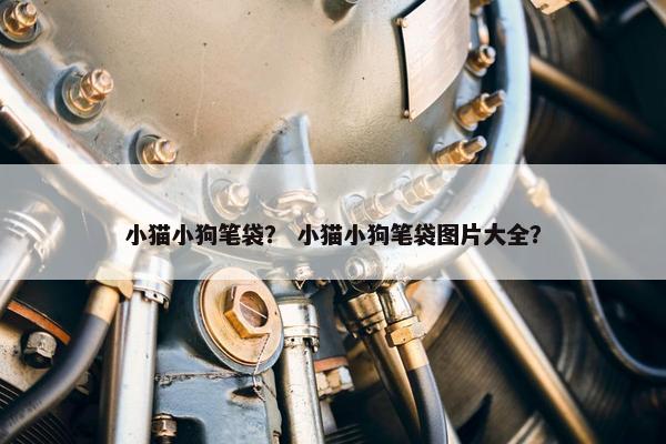 小猫小狗笔袋？ 小猫小狗笔袋图片大全？