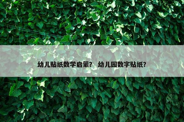 幼儿贴纸数学启蒙？ 幼儿园数字贴纸？