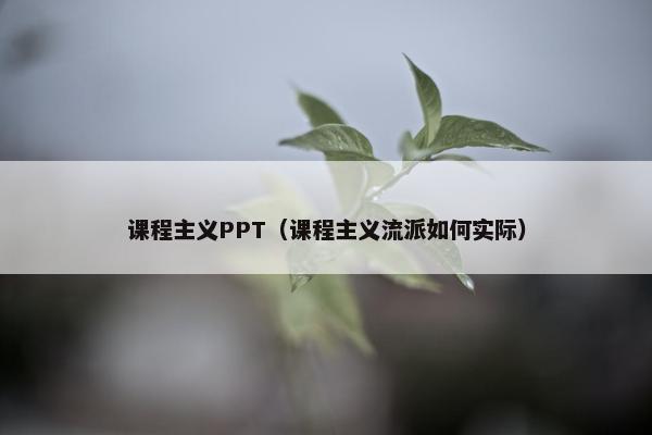 课程主义PPT（课程主义流派如何实际）