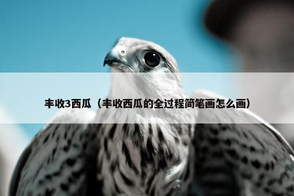 丰收3西瓜（丰收西瓜的全过程简笔画怎么画）