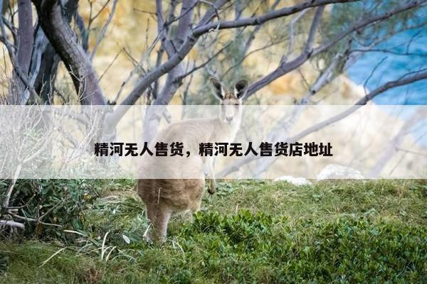精河无人售货，精河无人售货店地址