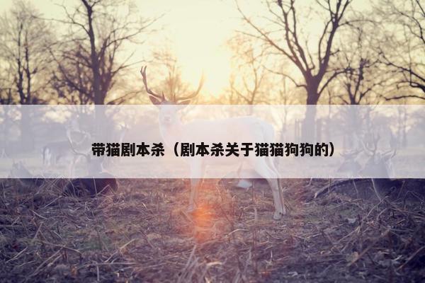 带猫剧本杀（剧本杀关于猫猫狗狗的）
