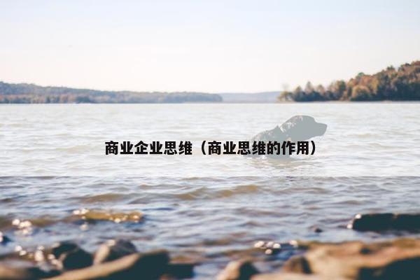 商业企业思维（商业思维的作用）