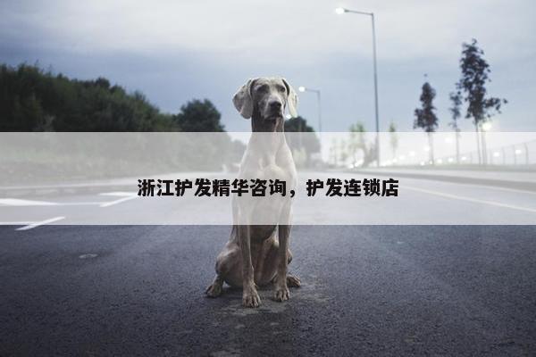 浙江护发精华咨询，护发连锁店
