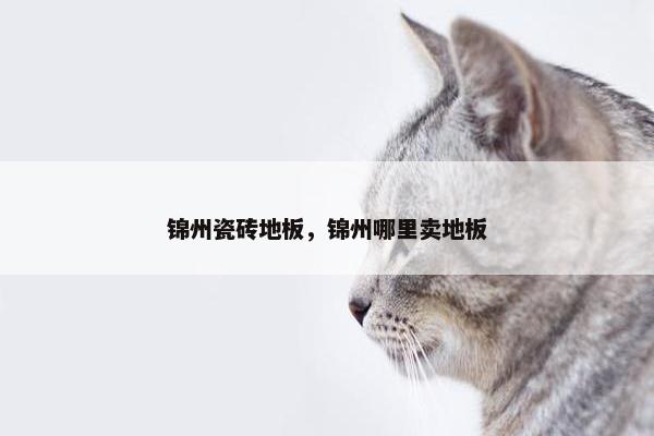 锦州瓷砖地板，锦州哪里卖地板