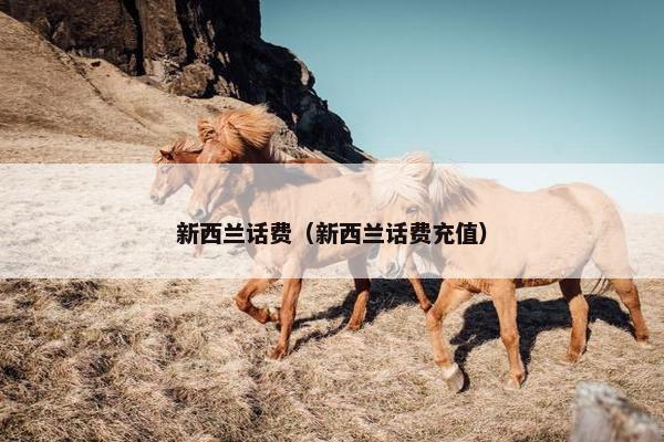 新西兰话费（新西兰话费充值）