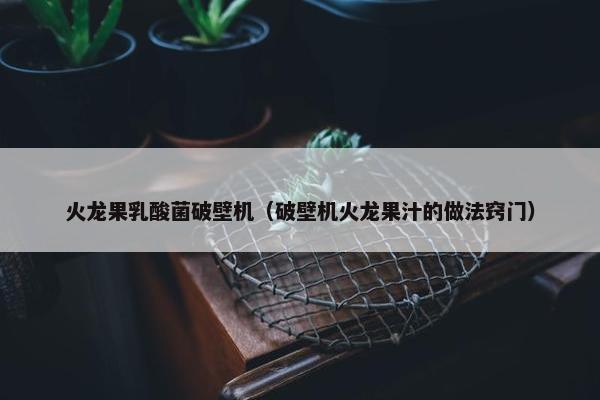 火龙果乳酸菌破壁机（破壁机火龙果汁的做法窍门）