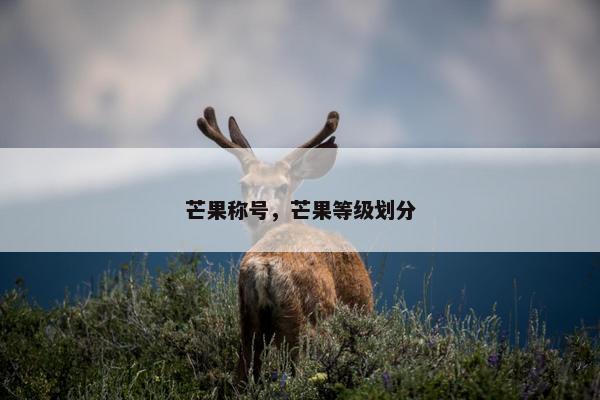 芒果称号，芒果等级划分