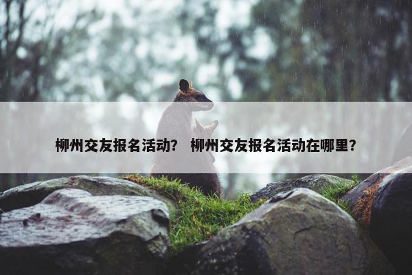 柳州交友报名活动？ 柳州交友报名活动在哪里？