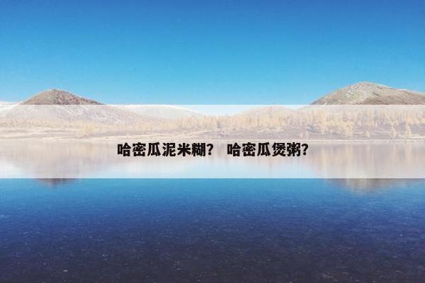 哈密瓜泥米糊？ 哈密瓜煲粥？
