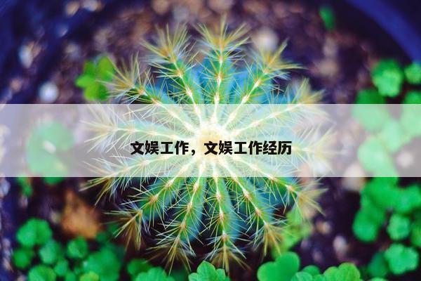 文娱工作，文娱工作经历