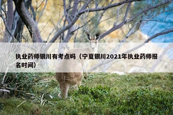 执业药师银川有考点吗（宁夏银川2021年执业药师报名时间）