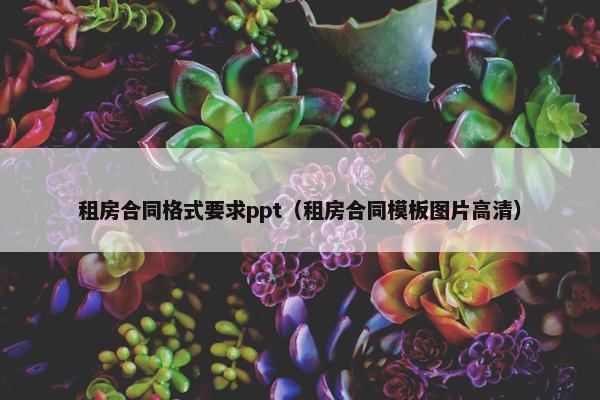 租房合同格式要求ppt（租房合同模板图片高清）