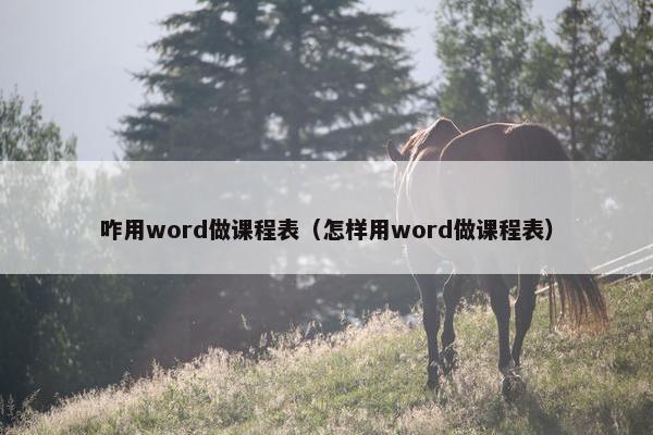 咋用word做课程表（怎样用word做课程表）