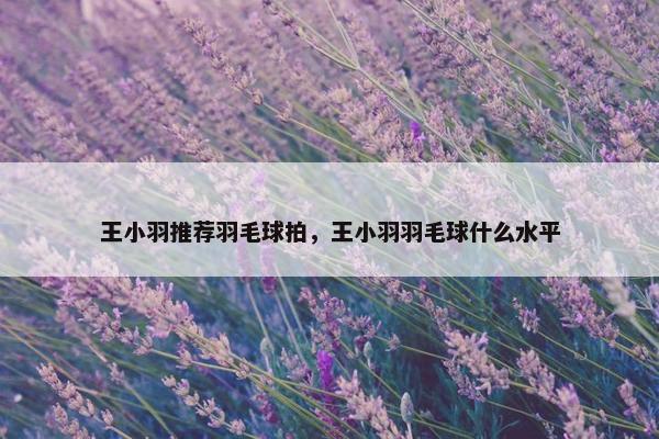 王小羽推荐羽毛球拍，王小羽羽毛球什么水平
