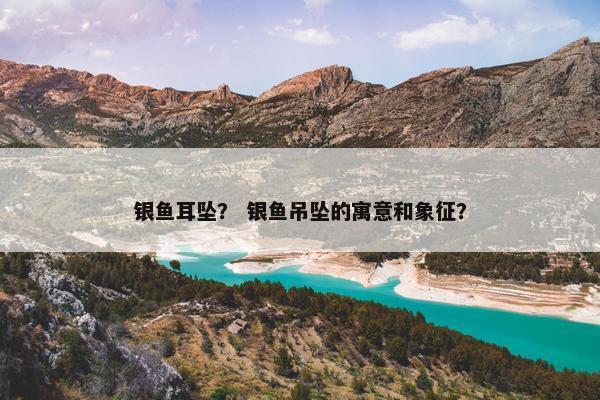 银鱼耳坠？ 银鱼吊坠的寓意和象征？
