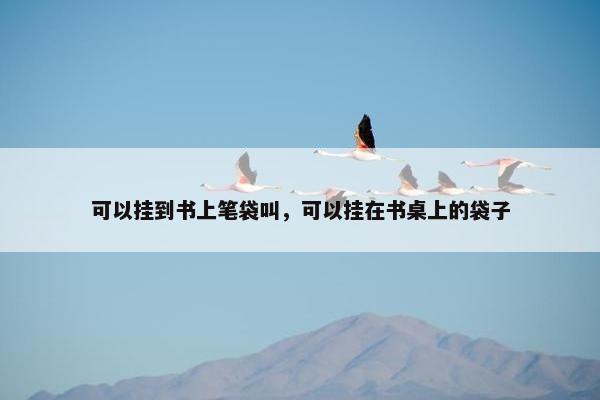 可以挂到书上笔袋叫，可以挂在书桌上的袋子