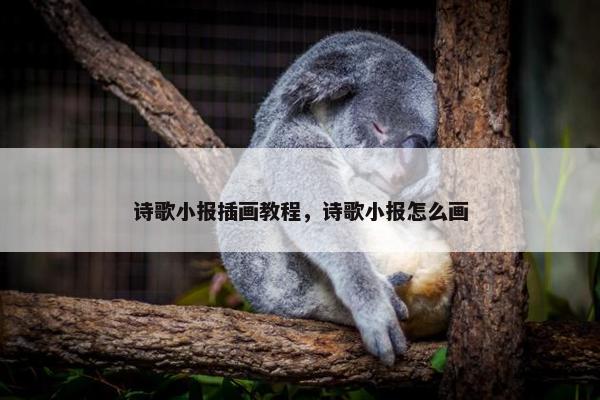 诗歌小报插画教程，诗歌小报怎么画