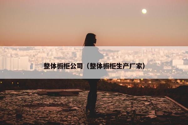 整体橱柜公司（整体橱柜生产厂家）