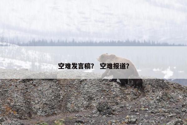 空难发言稿？ 空难报道？