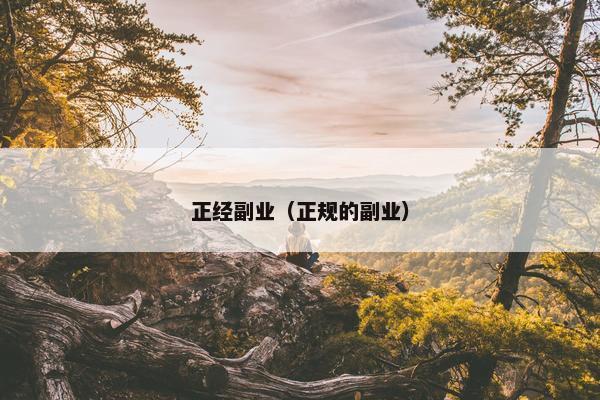 正经副业（正规的副业）