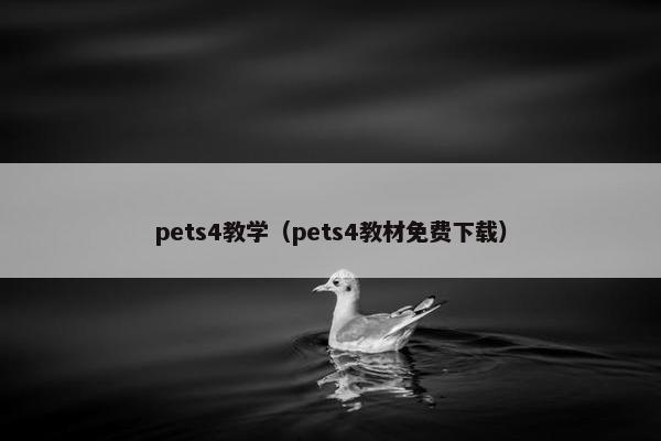 pets4教学（pets4教材免费下载）