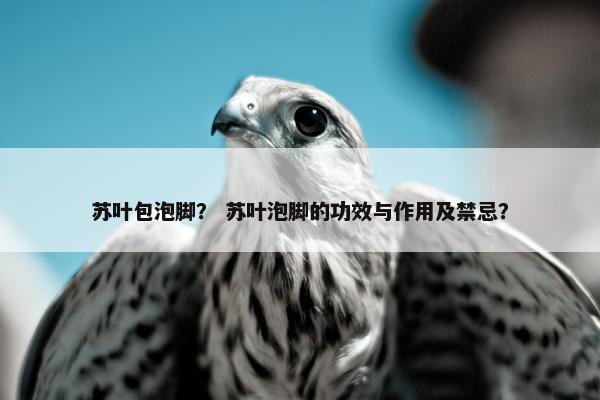 苏叶包泡脚？ 苏叶泡脚的功效与作用及禁忌？