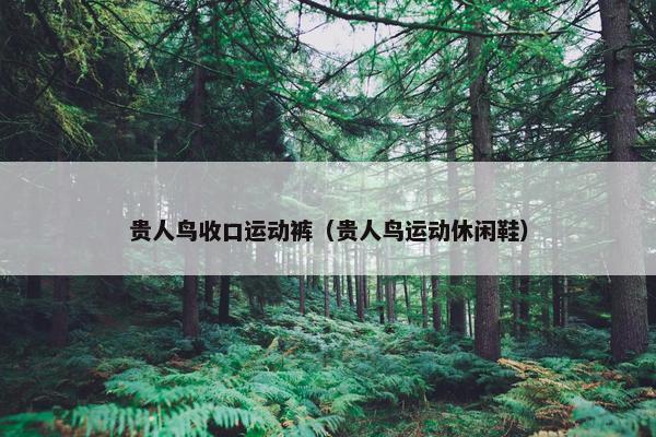 贵人鸟收口运动裤（贵人鸟运动休闲鞋）
