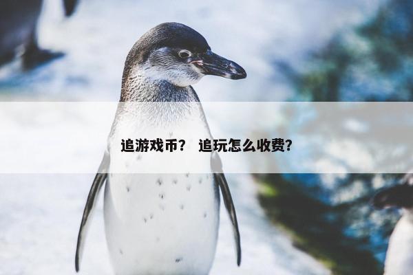 追游戏币？ 追玩怎么收费？