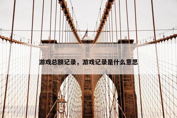 游戏总额记录，游戏记录是什么意思