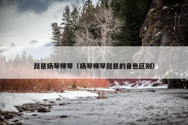 琵琶扬琴柳琴（扬琴柳琴琵琶的音色区别）