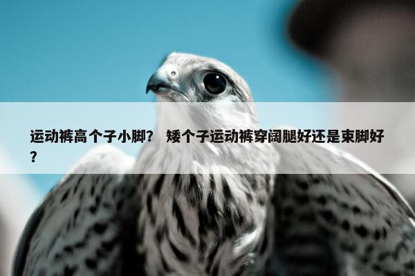 运动裤高个子小脚？ 矮个子运动裤穿阔腿好还是束脚好？