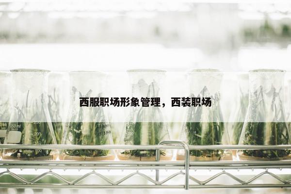 西服职场形象管理，西装职场