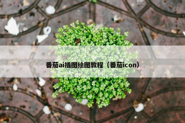 番茄ai插图绘图教程（番茄icon）